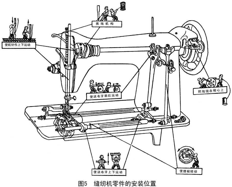 1505963602027539700.jpg